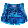 Flamma Thai Boxing Shorts Basic FSFMT-228